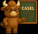 Understanding the CASEL Framework